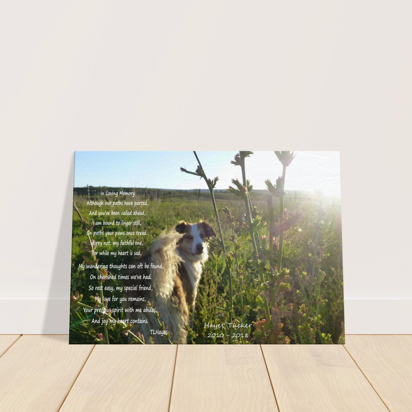 Pet Memorial on Photo Canvas