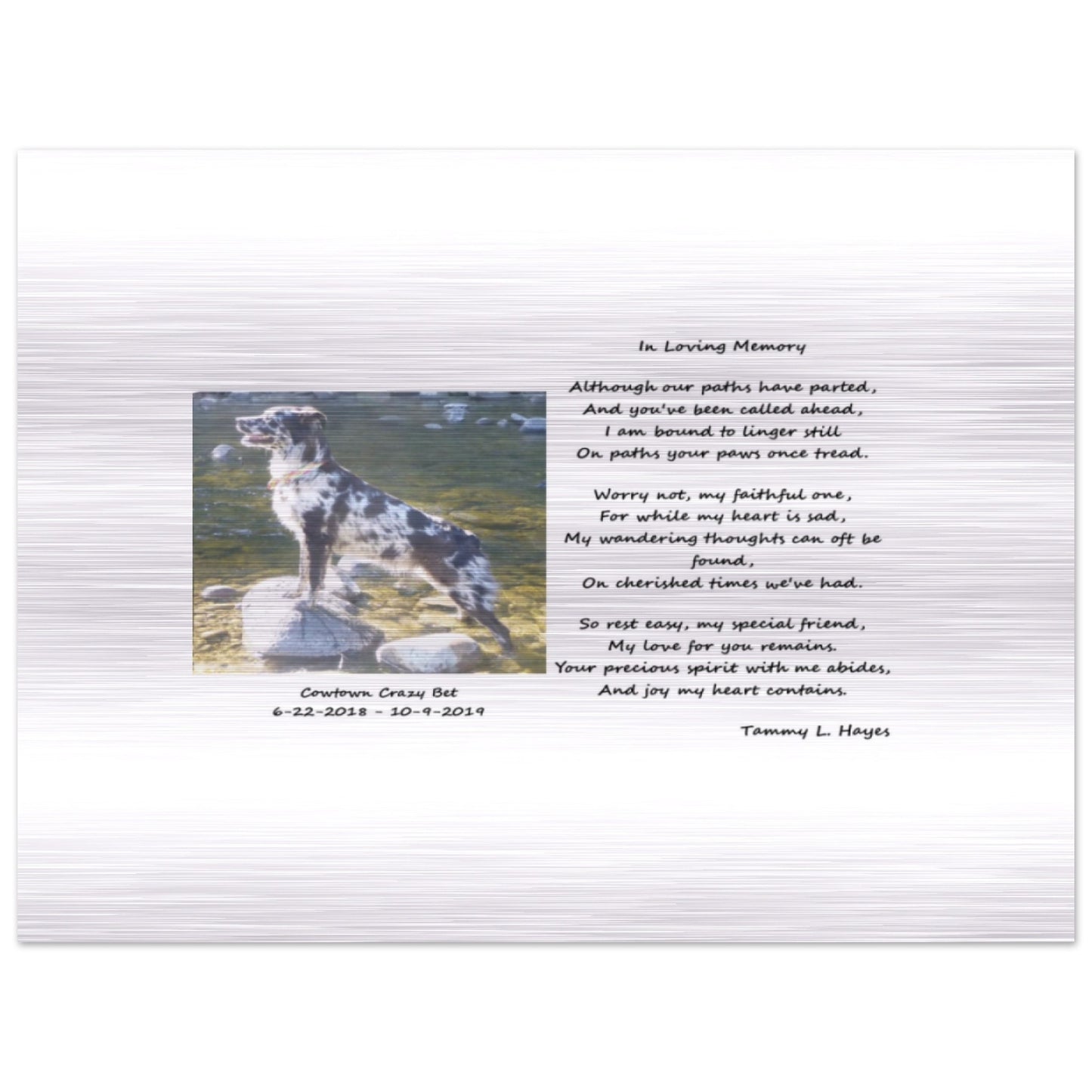 Pet Memorial - Brushed Aluminum Print