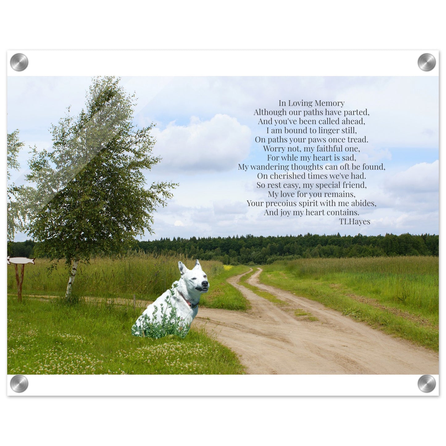 Parted Paths - Personalized Acrylic Print